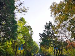 -千佛山风景名胜区