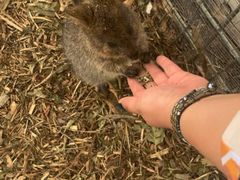 -费瑟代尔野生动物园