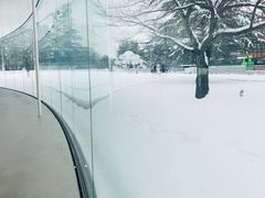 -金泽21世纪美术馆