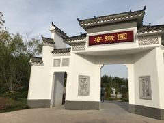 -武清南湖绿博园