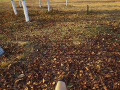 -汉长安城未央宫国家考古遗址公园