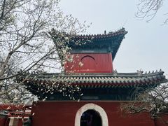 -北京艺术博物馆(万寿寺)