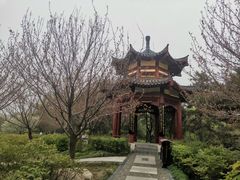 -洛阳市隋唐城遗址植物园