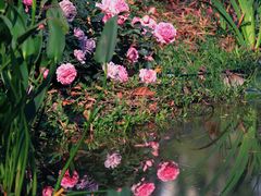 -人民公园(罗湖区)