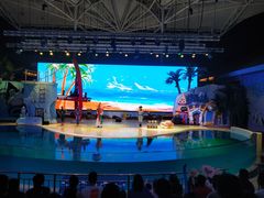 -三亚海昌梦幻海洋不夜城