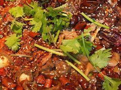 传统毛血旺-麻六记(新天地店)
