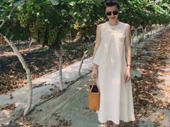 -金谷域澳洲庄园