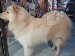 -肆兮眼镜·蔡司·徕卡战略合作店(大坪店)