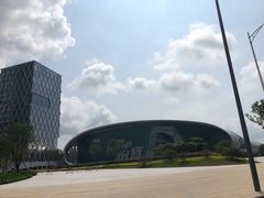 -深圳湾木棉花酒店