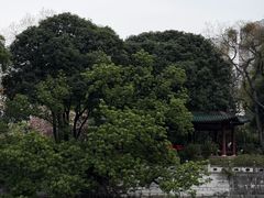 -柳侯公园
