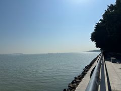 -大湾区中央湿地公园