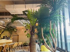 -the rug 飞毯 (朝阳公园店)