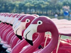 -惠州西湖风景名胜区-丰渚园