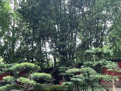 -成都武侯祠博物馆