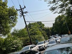 -铁山坪森林公园