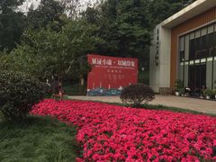 -龙头寺公园