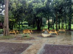 android_upload_pic-南宁良凤江国家森林公园