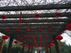 -白马涧龙池景区