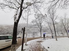 -海底捞火锅(泉城路店)
