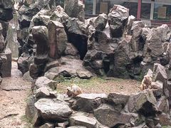 -杭州动物园