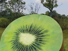 -花博汇(知音花月夜)