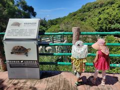 -广东惠东海龟国家级自然保护区