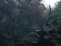 -韬光茶庵