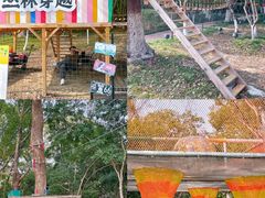 -金鸡湖桃花岛