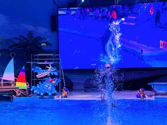 -海合安武汉极地海洋公园