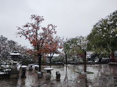 -华清宫景区