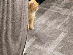 -宠颐生嘉德动物医院