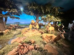 -国家自然博物馆