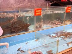 水产区-饭怕鱼(阳光100店)
