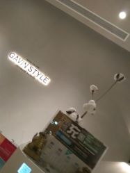-崇尚GAVIN STYLE