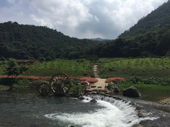 -广州市石门国家森林公园