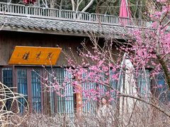 -杭州植物园
