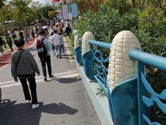 -上海长兴岛郊野公园