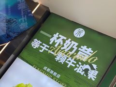 -茉酸奶(春熙路店)