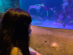 -沈阳海洋探索中心