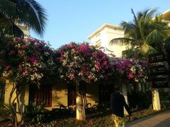 -三亚亚龙湾天域度假酒店