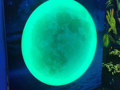 -天津梵高星空艺术馆(天河城旗舰店)