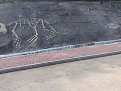 -哈尔滨北方森林动物园