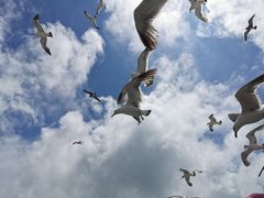 -海驴岛(荣成市)