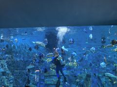 -横店影视城梦幻谷园区