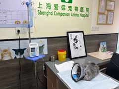 -爱侣宠医·鹦鹉专科·小型哺乳类·异宠专科(灵石路店)