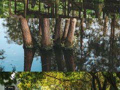 -动邦皮划艇·桨板·独木舟·团建户外运动俱乐部