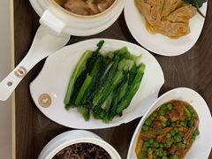 -伊丽莎白妇科医院·早孕检查