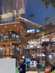 -卡通尼·Safari非洲探索乐园·生日会(金桥国际商业广场店)