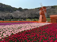 -苏州上方山国家森林公园