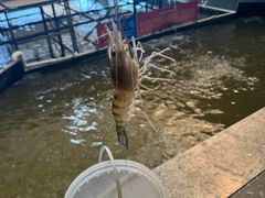 -粮心小农·大头虾亲子生态园(长发店)